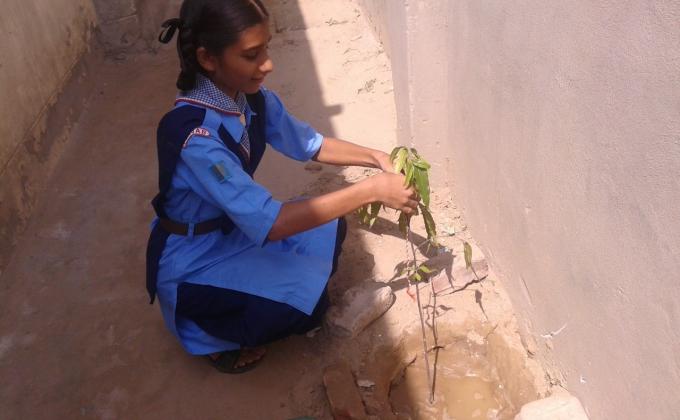 CELEBRATION OF RAKHI WITH PLANTS