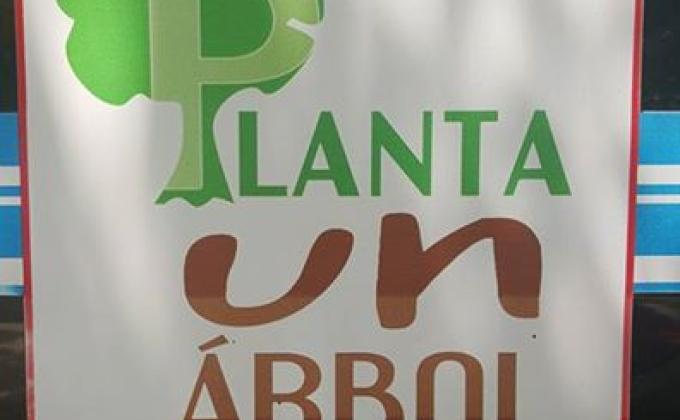 Taller de re-forestación y plantación, Servicio a la plaza Baden Powell