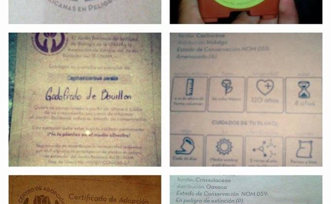 Conservemos verde a México.
