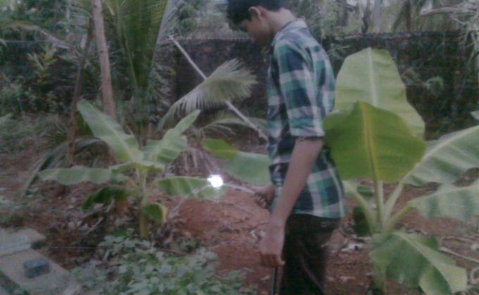 New Plants to Mother Earth