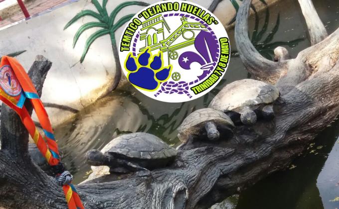 Grupo Scouts T´rinnra - Tropa Ashanti - Temtico “Dejando Huellas”