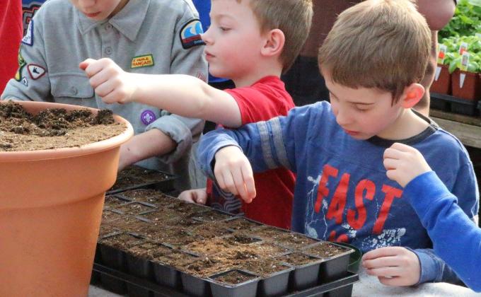 London Scouts seed planting 2016