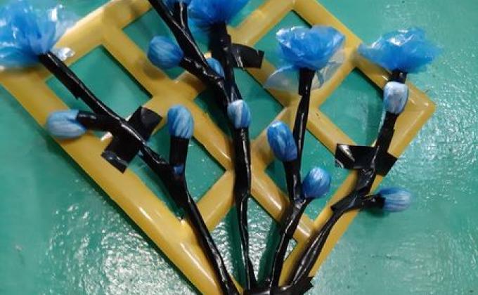 প্লাস্টিক টাইড টার্নার চ্যালেঞ্জ ব্যাজ(প্রারম্ভিক পর্যায়)