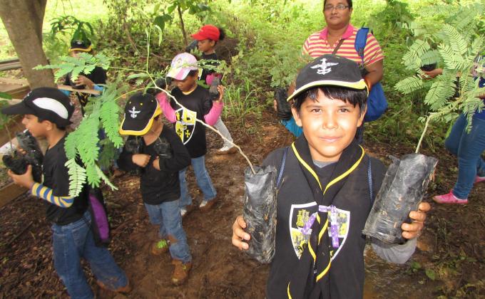 Reforestación de áreas protegidas después de incendios forestales