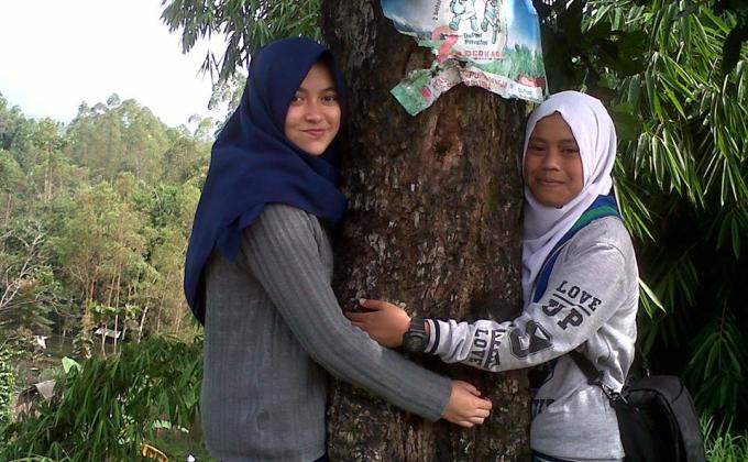 Tree Hugger