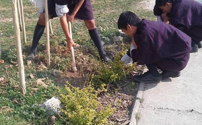 མེ་ཏོག་ལྡུམ་ར།