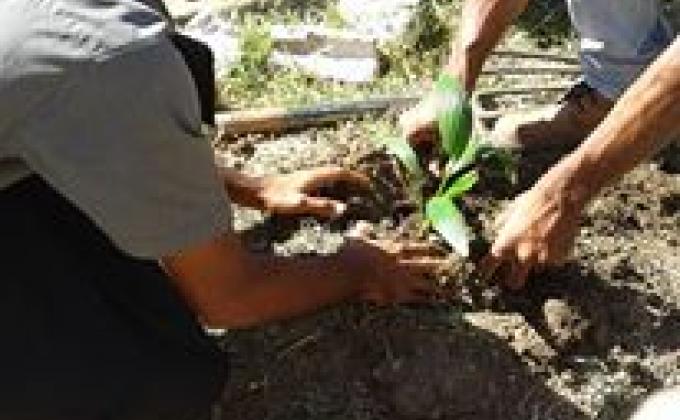 "GOING GREEN...MORE TREES, BETTER ENVIRONMENT"