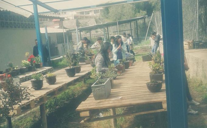 Vivero para la Vida