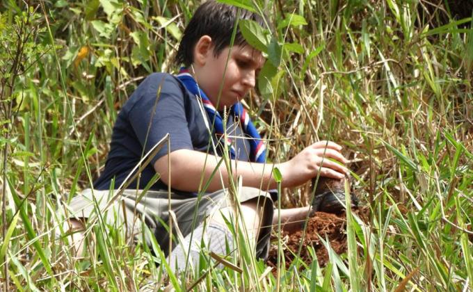Plantio de mudas de árvores nativas e limpeza da trilha