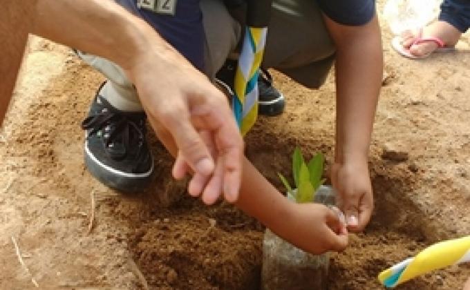 Arborizando a quadra 