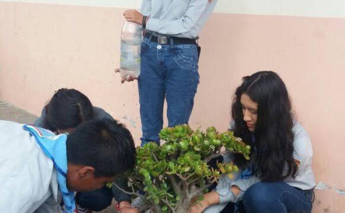 UN JARDIN PARA NUESTO HOGAR