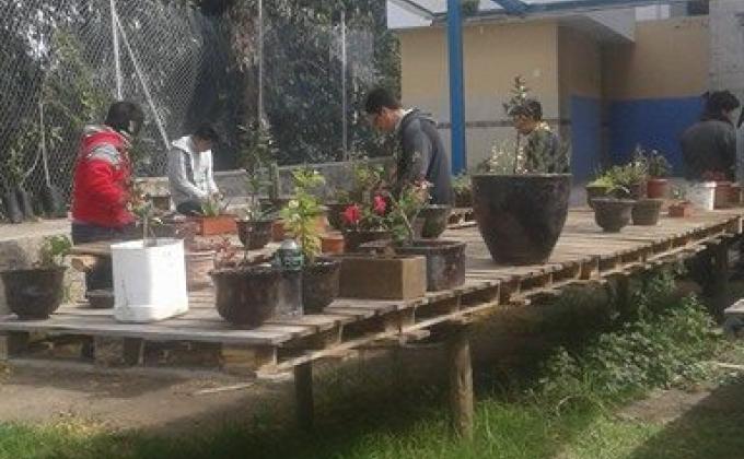 Vivero