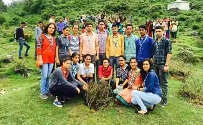 Plantation at village Damrog Solan 