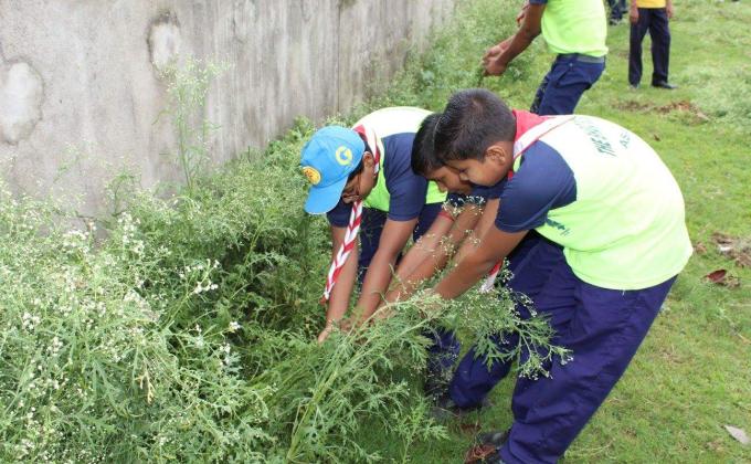 cleanness programme 