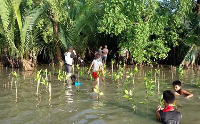 Mangrove Planting