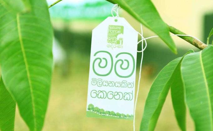 'One Million Trees' Nature Force Manusath Derana with Scouting