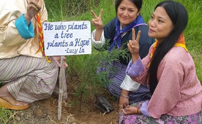 Peace Tree Plantation