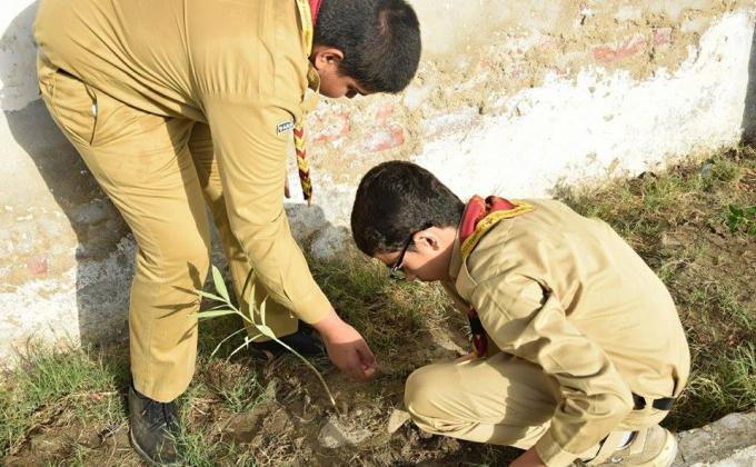 plantation activity