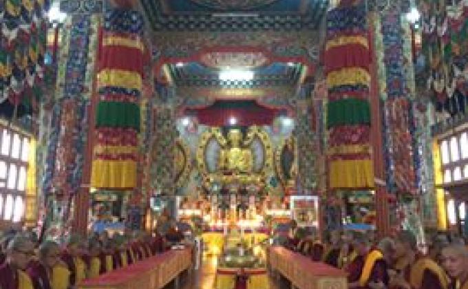 volunteers are paid in six figures...S M I L E S~Gayla LeMaire