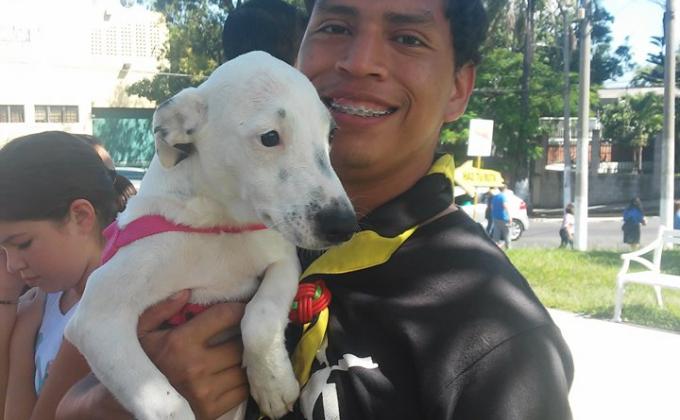Feria de adopciones de animales