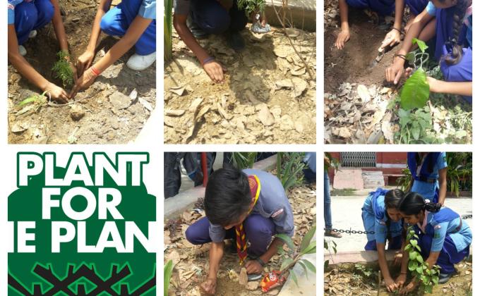 Plant for the planet