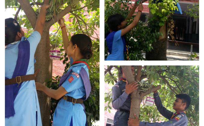 Celebrate world environment day 