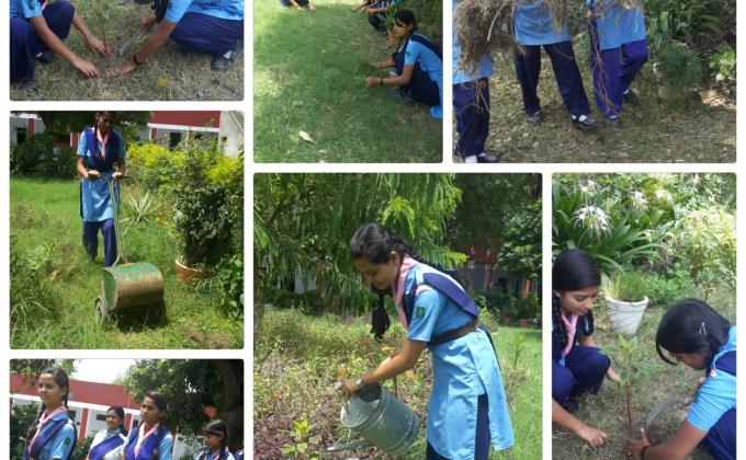 Cleaning garden and watering in plant 