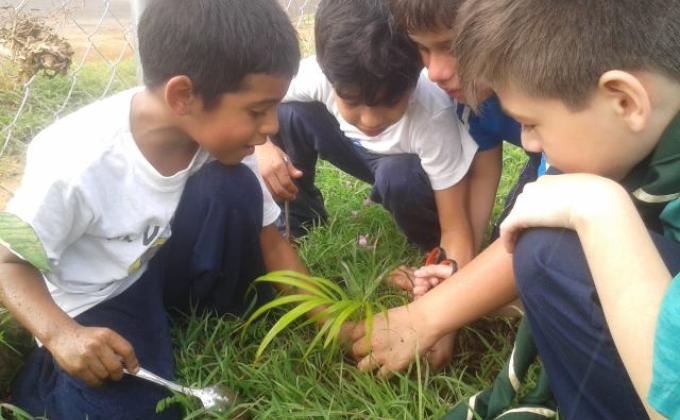 Mi comunidad + verde