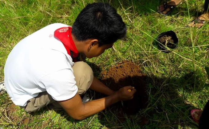 Tree Planting
