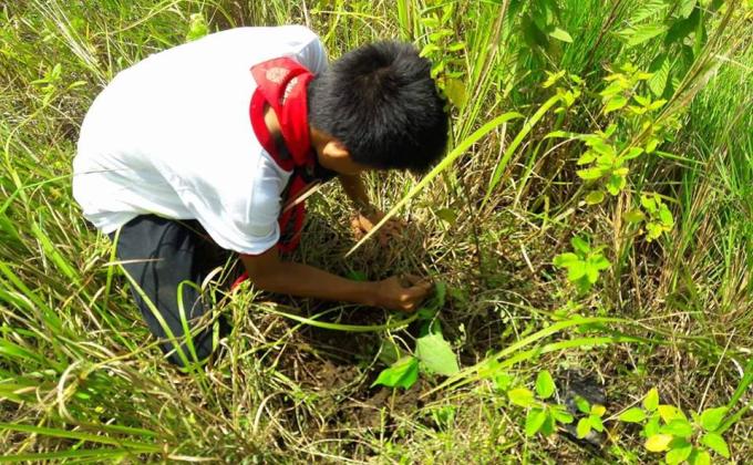 QNHS Tree Planting
