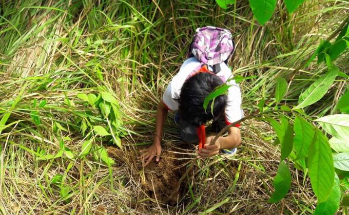 Tree Planting