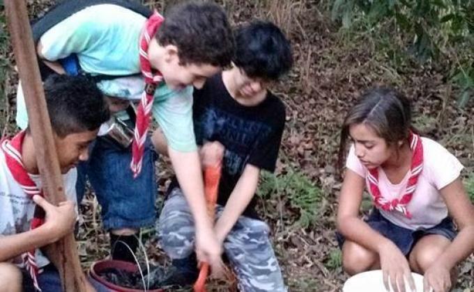 Tree for the world (reflorestamento atraves de mudas)