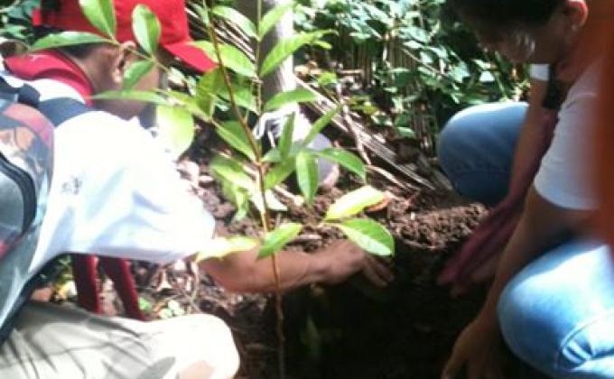 TREE PLANTING ACTIVITY 2013