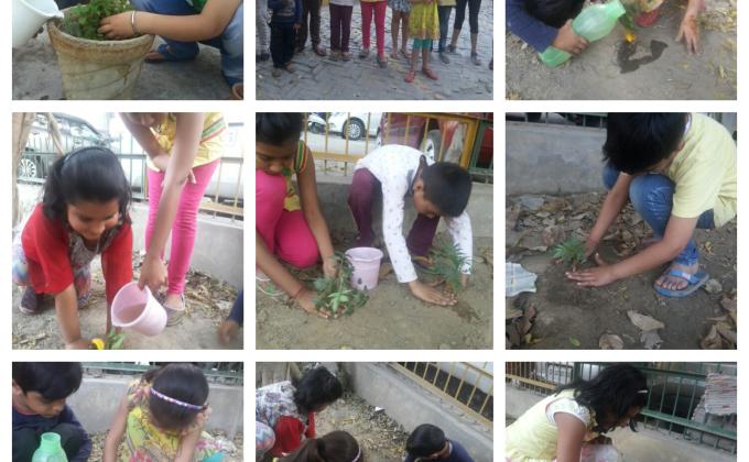 World forest day