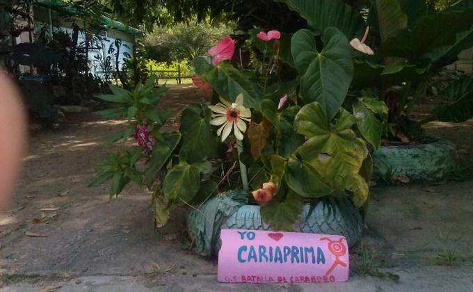 Ayuda a Cariaprima 