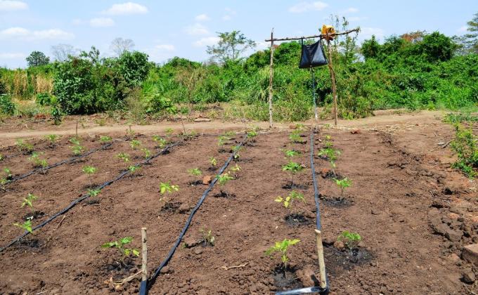 Low-cost drip irrigation systems for small-scale farmers to minimize hunger in Tanzania