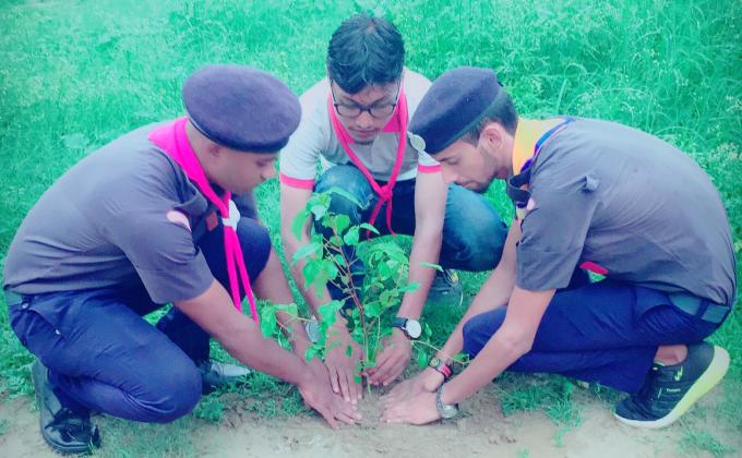 Plantation 