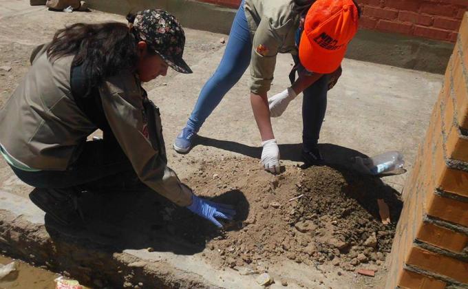 Arborización en la Unidad Educativa "Beneméritos de la Patria"