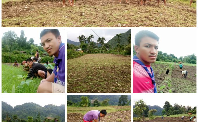 Millet Plantation Project