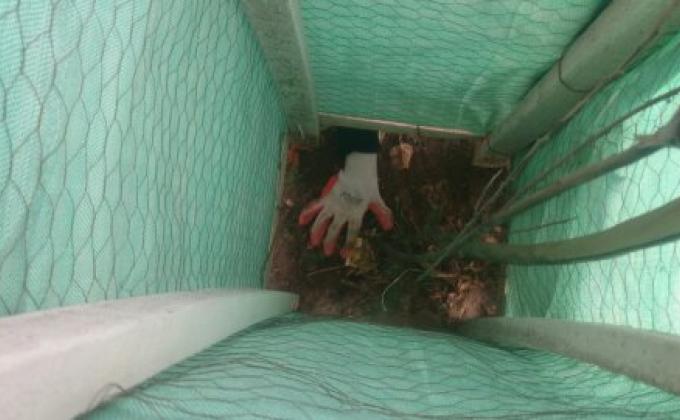 "A LIMPIAR EL MUNDO 2017"