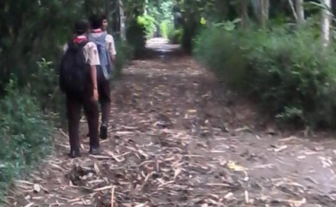Prabuhi