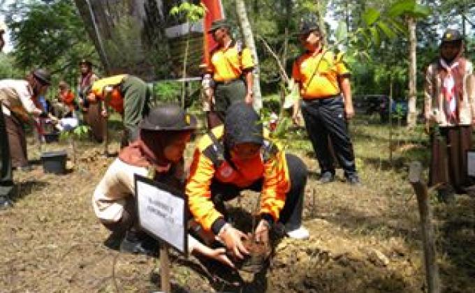 melestarikan bumi kita dengan cara reboisasi