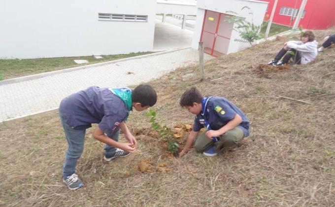 Plantio Solidário