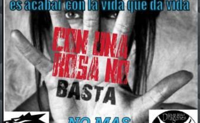 CON UNA ROSA NO BASTA