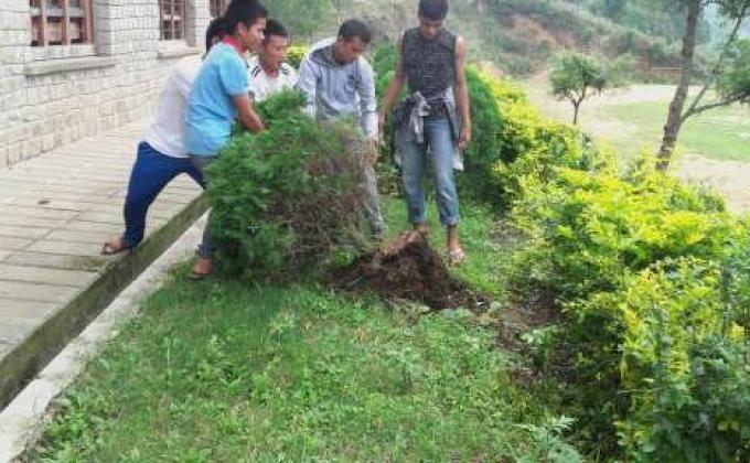 evironmental preservation