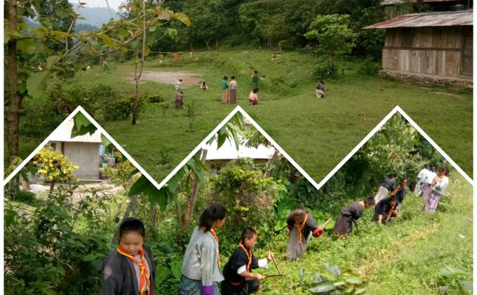 Marking Social Forestry Day