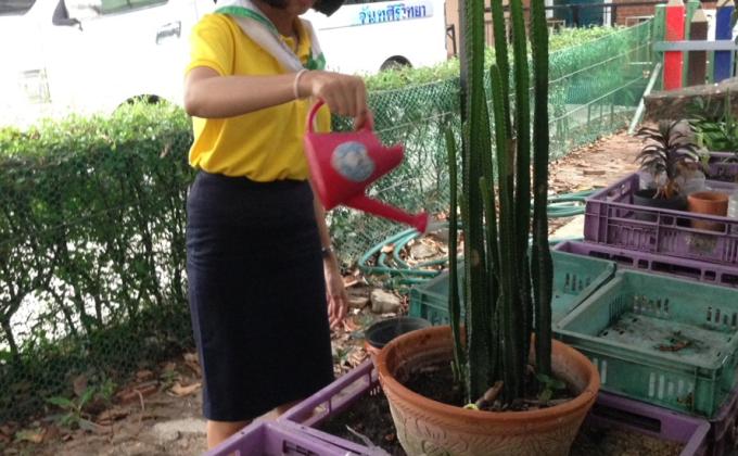 Earth hour ปลูกต้นไม้เพื่อสิ่งแวดล้อม