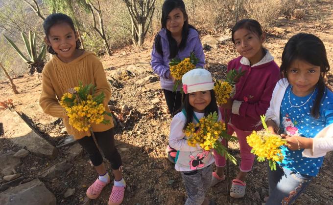 Hacia Una Comunidad Sustentable