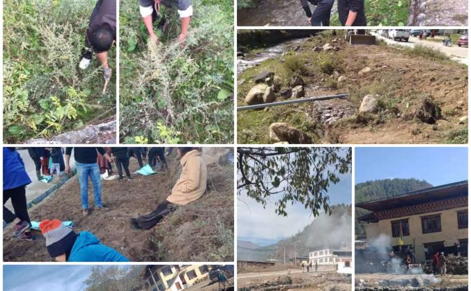 Land scaping for national flower exhibition 2019 