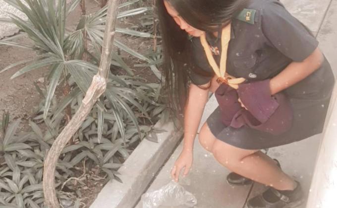 เก็บขยะที่วิทยาลัยอาชีวศึกษาเทคโนโลยีเอเชีย